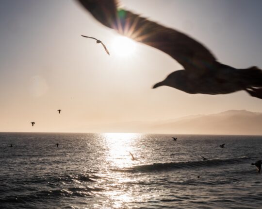 POLJUBI Z OKUSOM PO SLANI KARAMELI