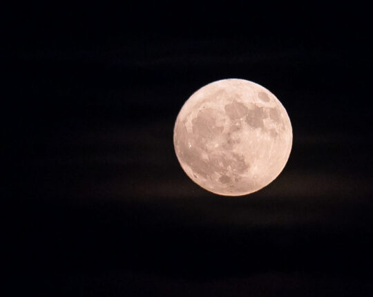 Rožnata luna
